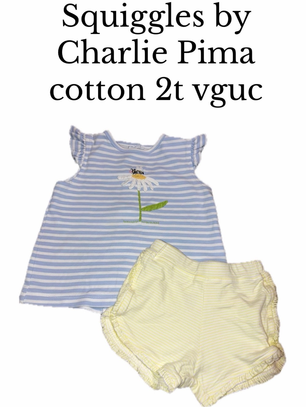 Squiggles by Charlie 2t Pima cotton flower bee shirt shorts set